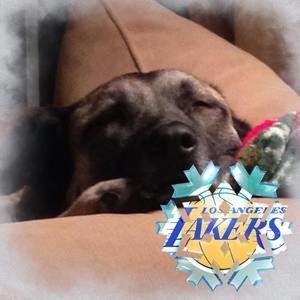 Meet your Posher, Alexander